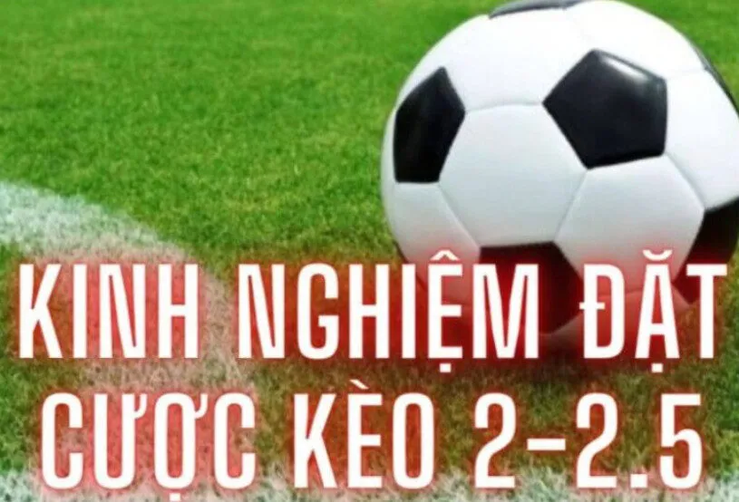 Kèo Chấp 2 1/4 Shbet Cổng Game Cá Cược Hay Nhất Mọi Thời Đại 3 Kinh nghiệm chơi kèo 2 1/4 Đăng Nhập Shbet